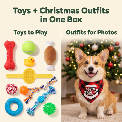 Christmas Pet Surprise Blind Box Toys